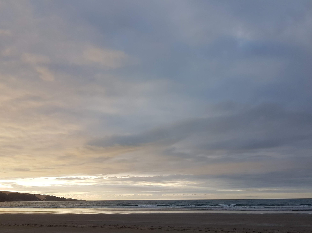 Ahipara Horse Treks-Ahipara必去景点