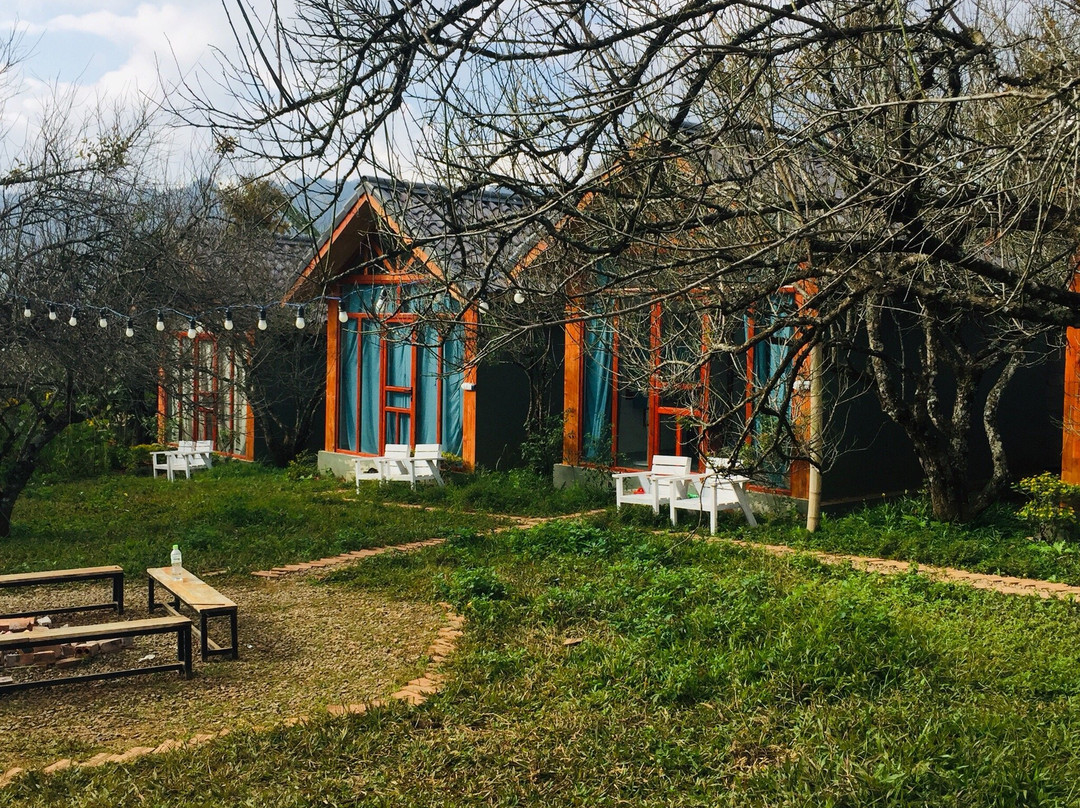 Mama's House Hostel