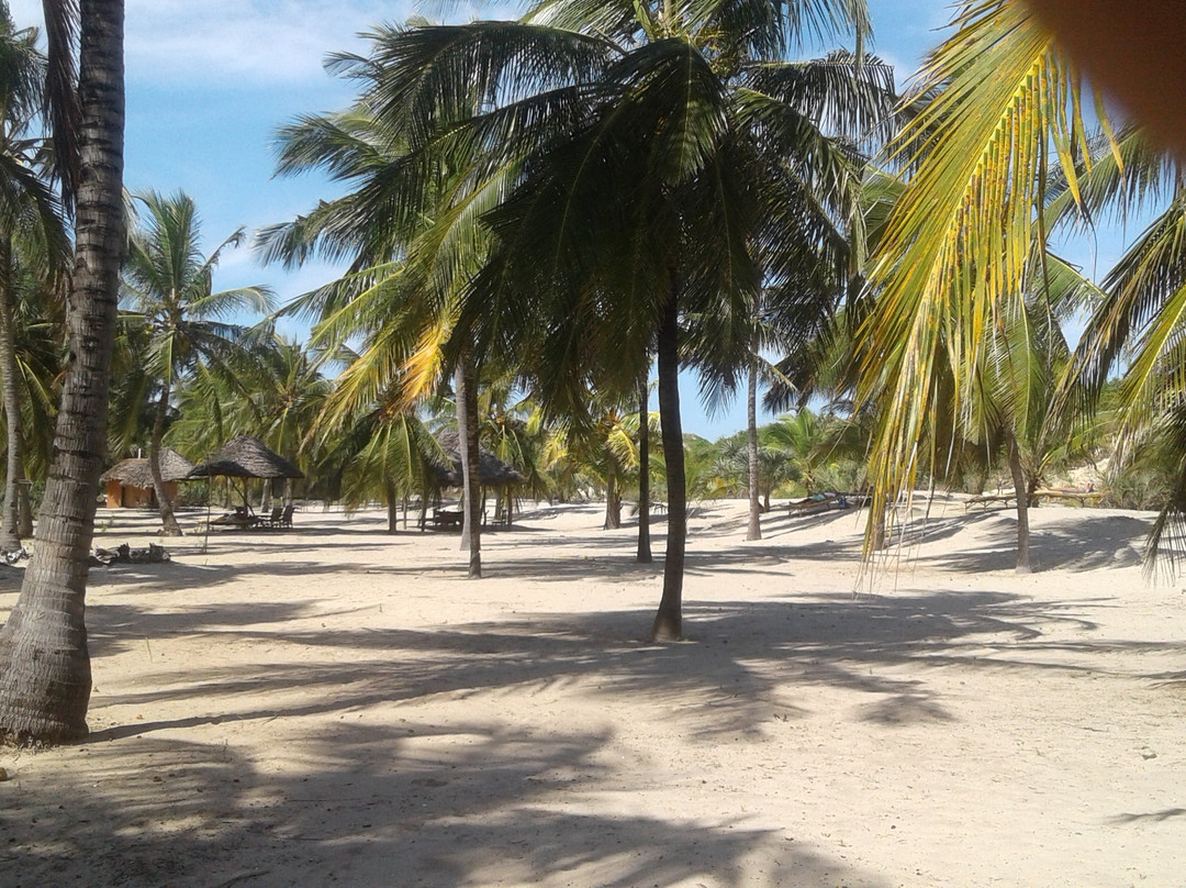 Coco Beach Island