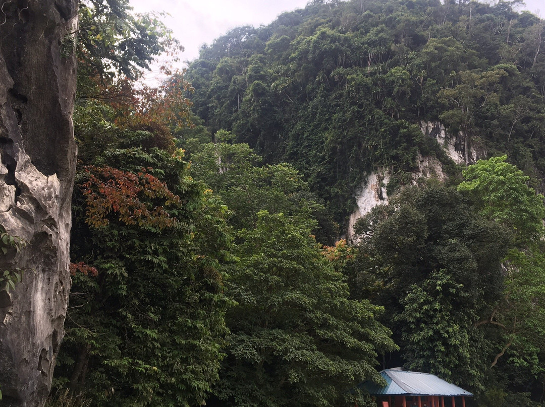 Ethnobotany Park景点图片