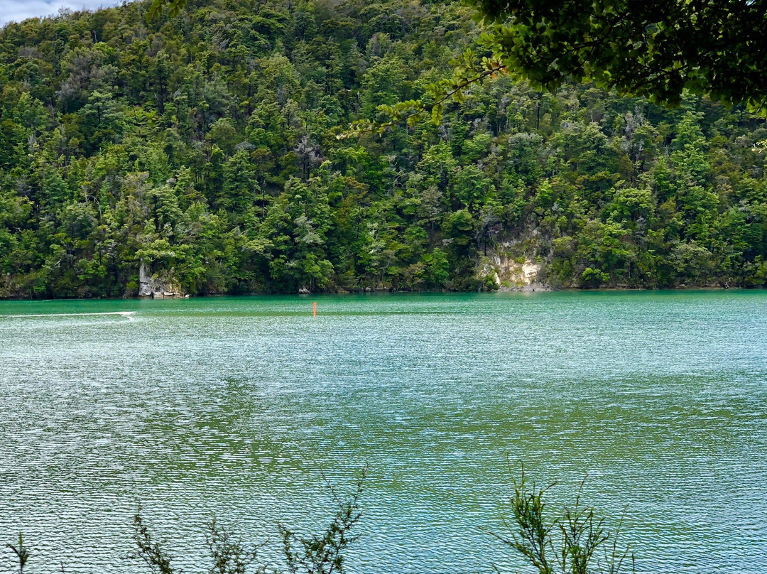 Abel Tasman National Park Aqua Taxi景点图片