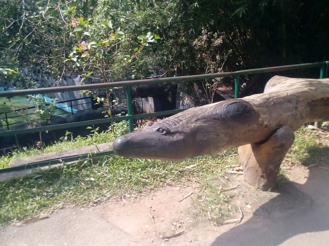 Thiruvananthapuram Zoo景点图片