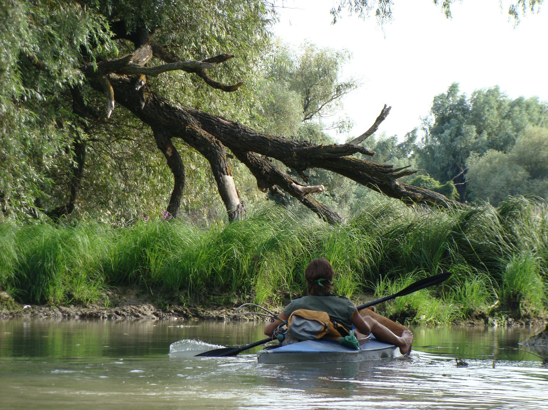 Kayak Danube Delta景点图片