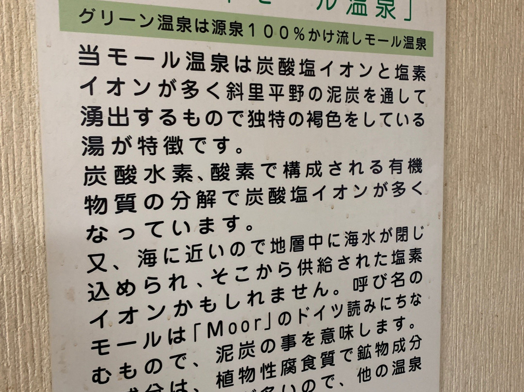 Business Hotel Green Spa主图