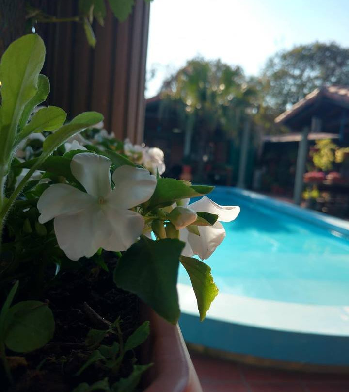 Hosteria Del Prado Salta主图