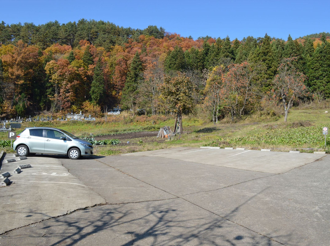Godo's Big Ginkgo Biloba Tree-饭山市必去景点
