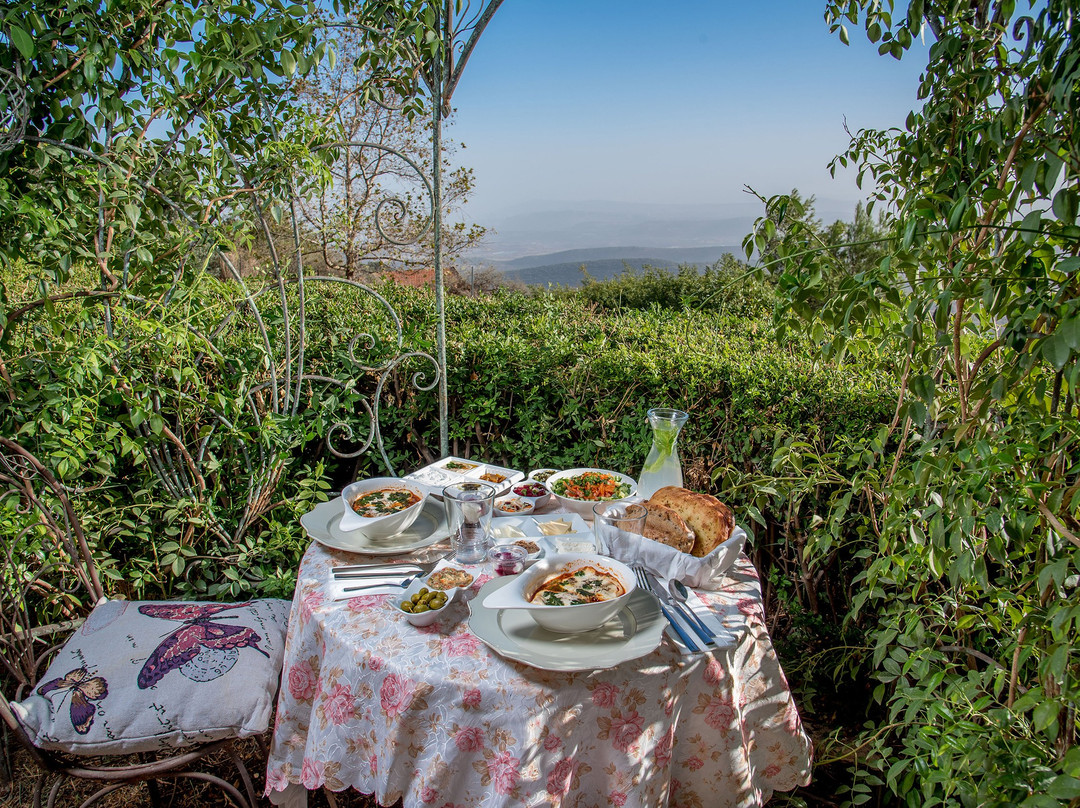 Samayim Vaaretz主图