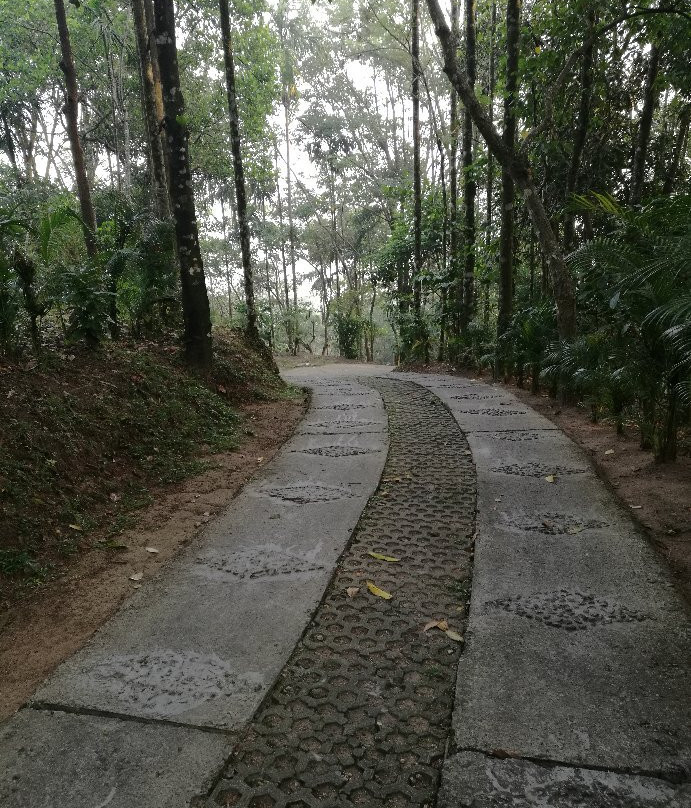 Wayanad Coffee Trail Resort主图