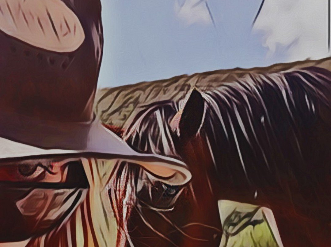 Holistic Horse Paddock Paradise-Herbertsdale必去景点