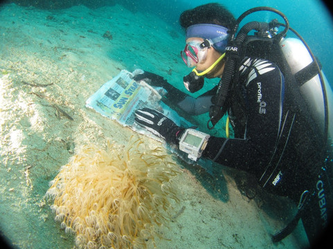 DiveGuys Cebu-马丹岛必去景点