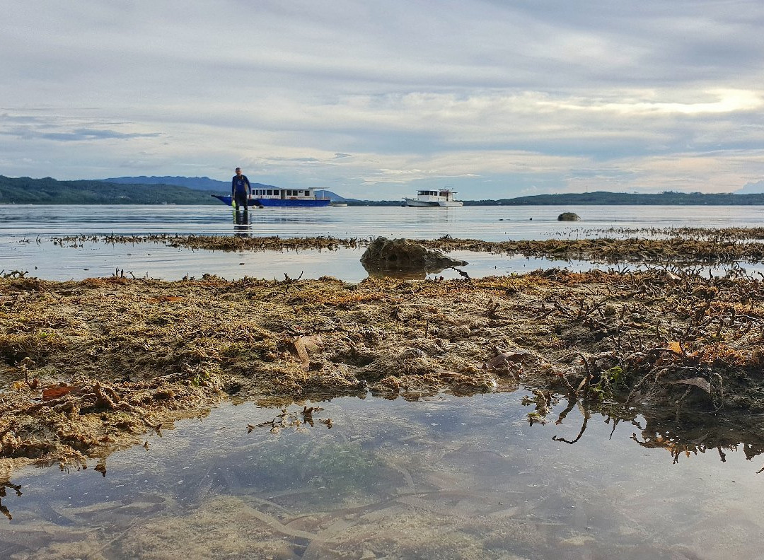 Rene's Diverslounge Resort主图