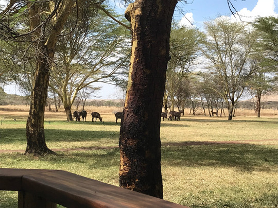 Sirikoi Lodge Kenya主图