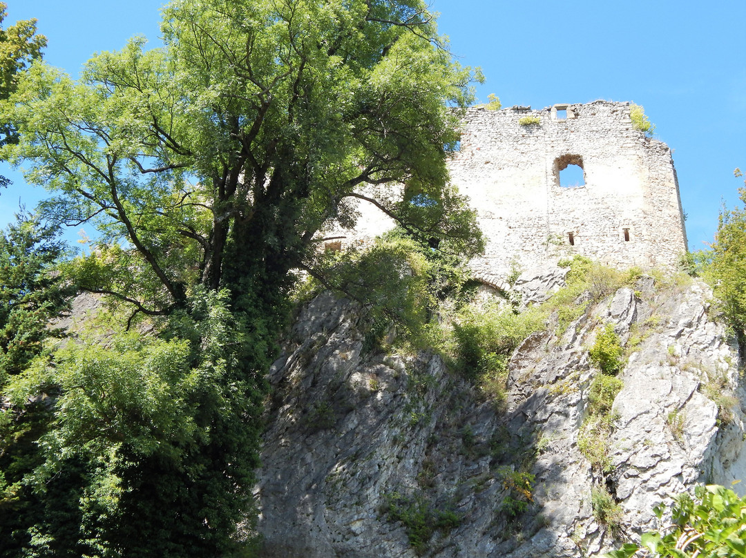 Sevnica Castle