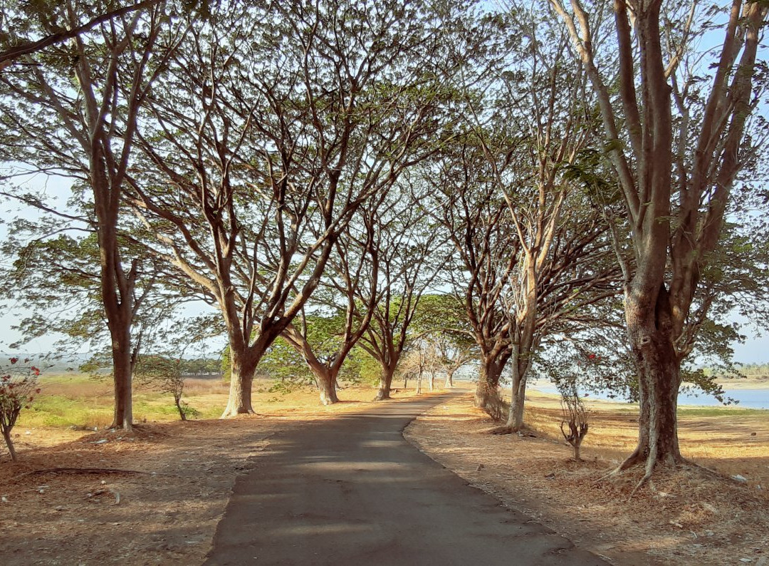 Bening Dam景点图片