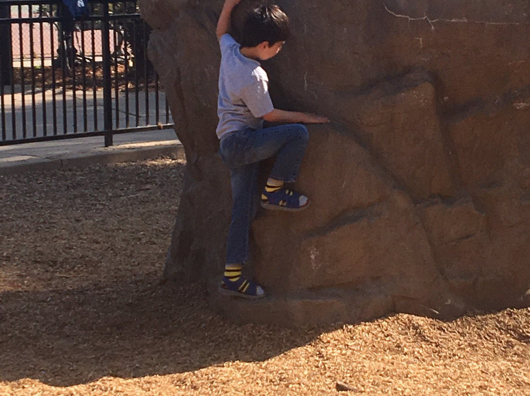 Codornices Park-伯克利必去景点