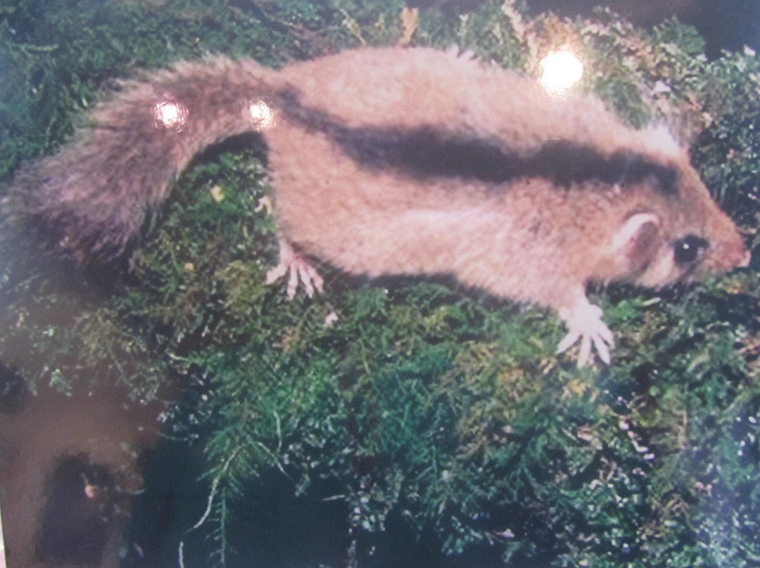 Keep Yamane Museum-北斗市必去景点