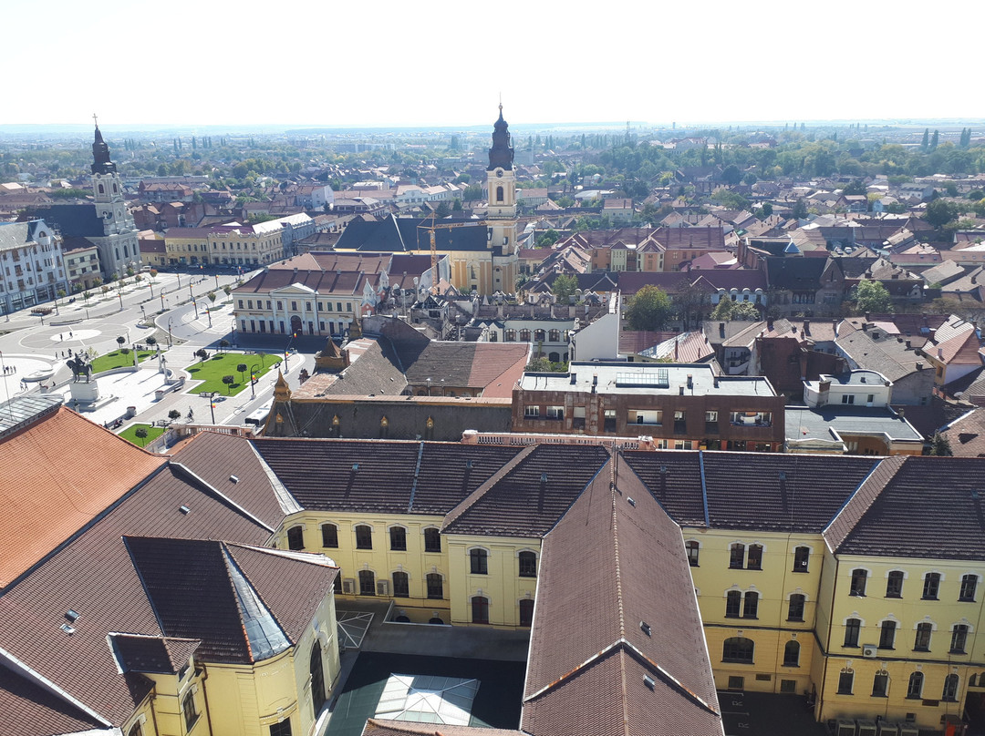 Oradea City Hall景点图片