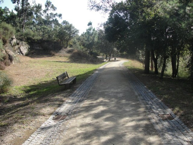 Parque de Avioso - S. Pedro景点图片