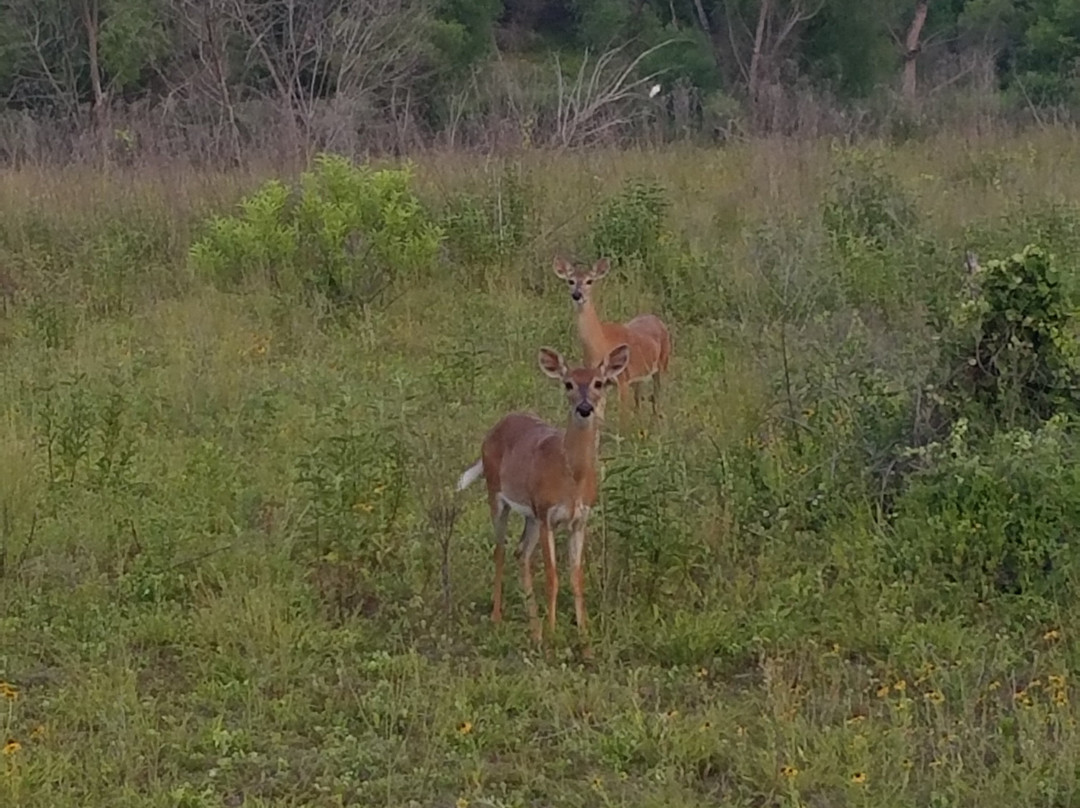 Agave Hurricane Trail Company-沃思堡必去景点