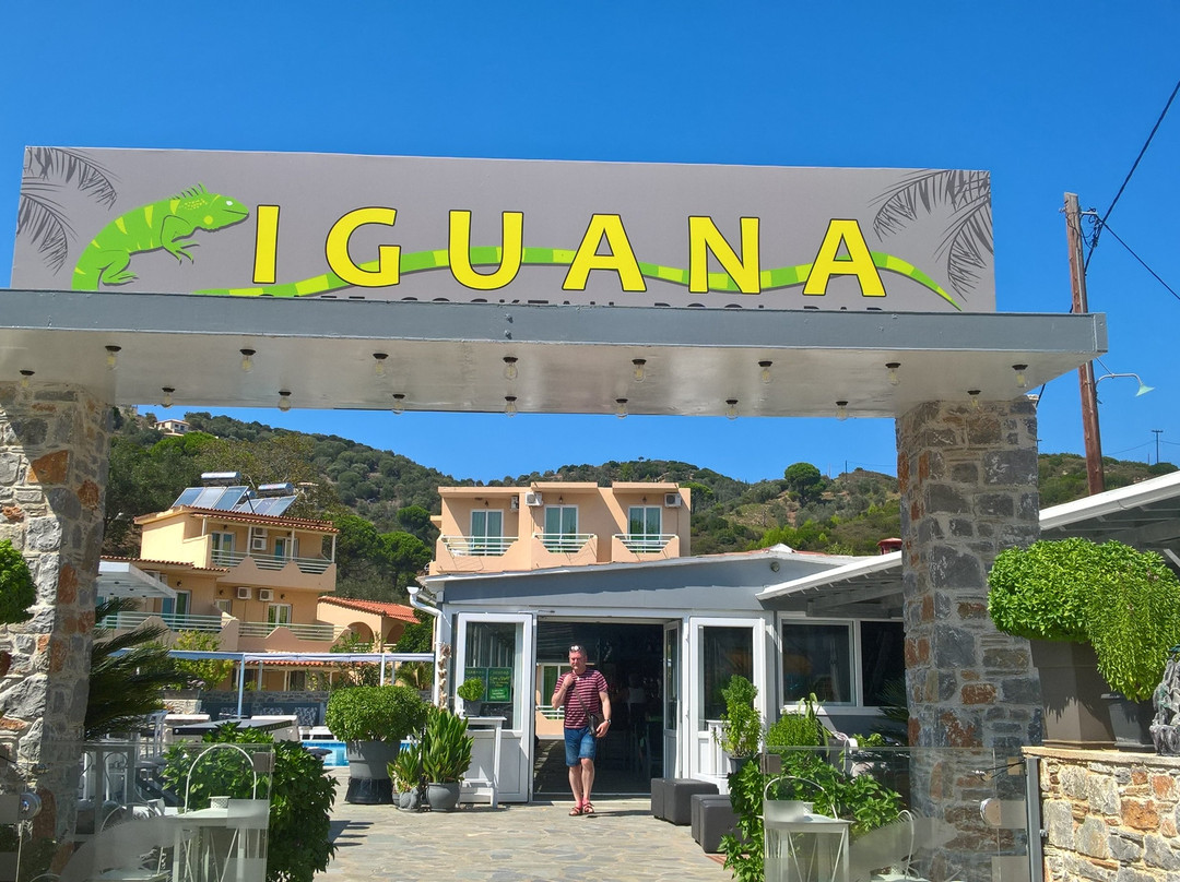 Iguana Pool Bar景点图片