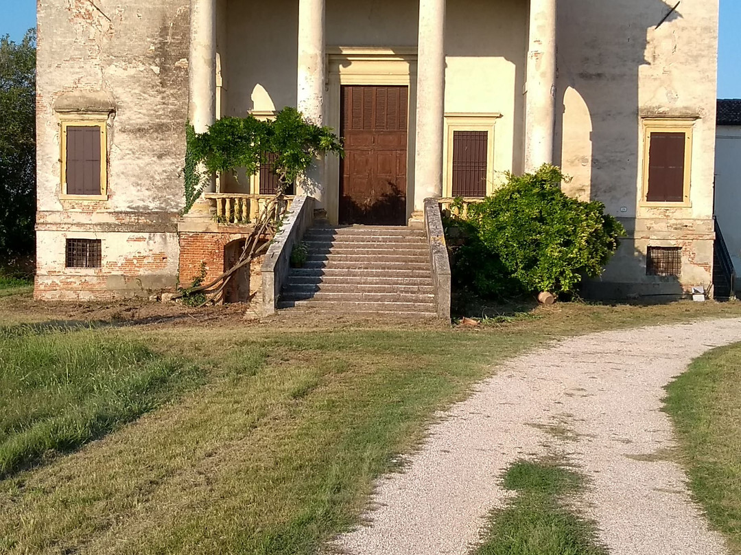 Villa Chiericati景点图片