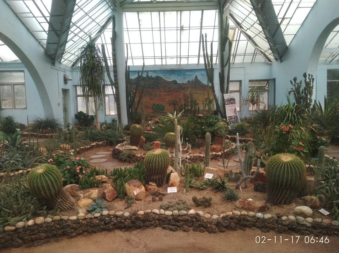 Botanical Gardens景点图片