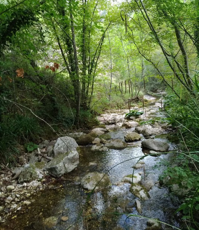 Rio Vitoschio景点图片