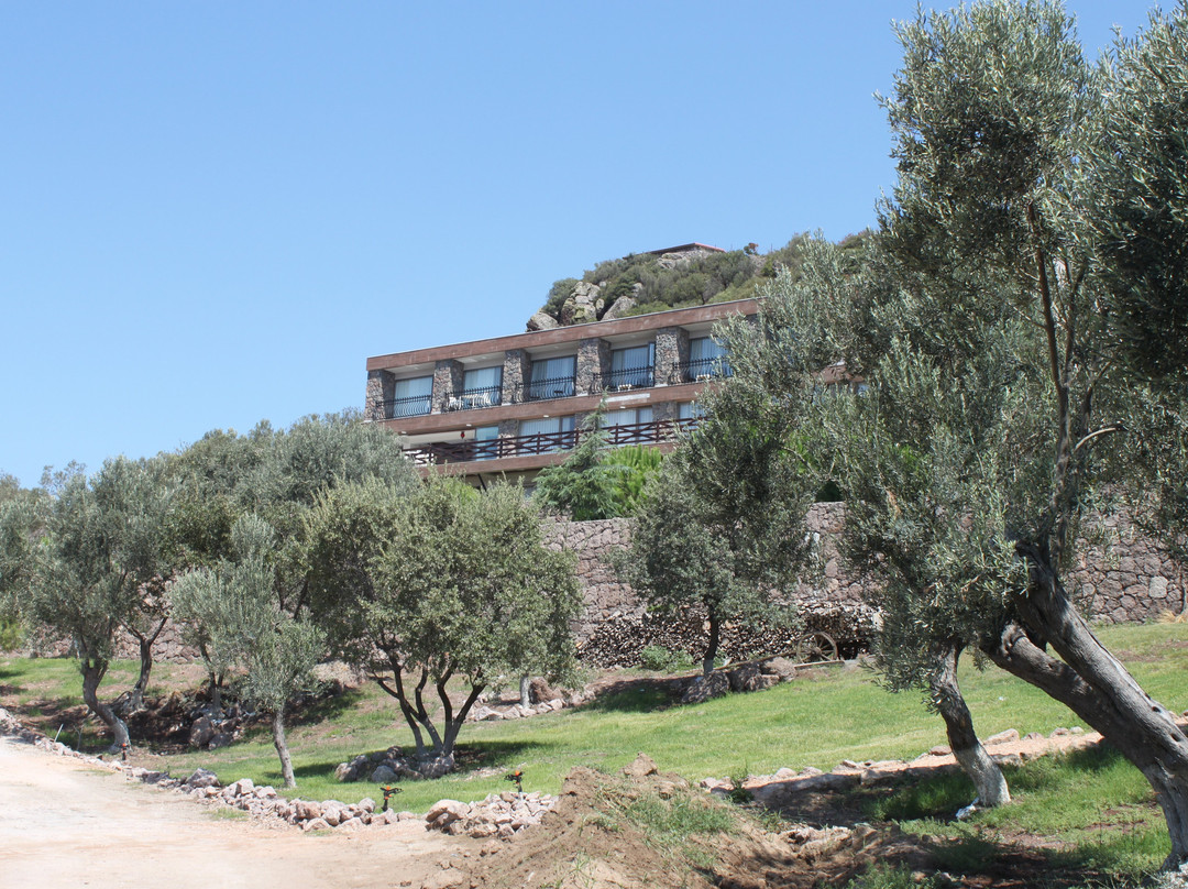 Assos Longevity Hotel主图