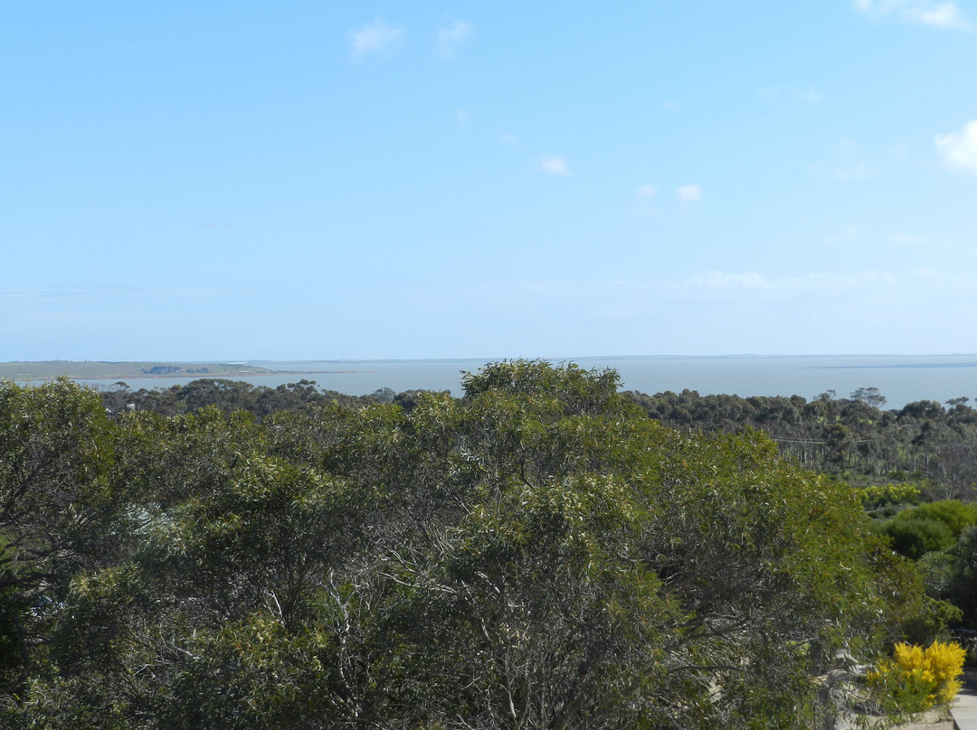 Meningie Lookout-Meningie必去景点