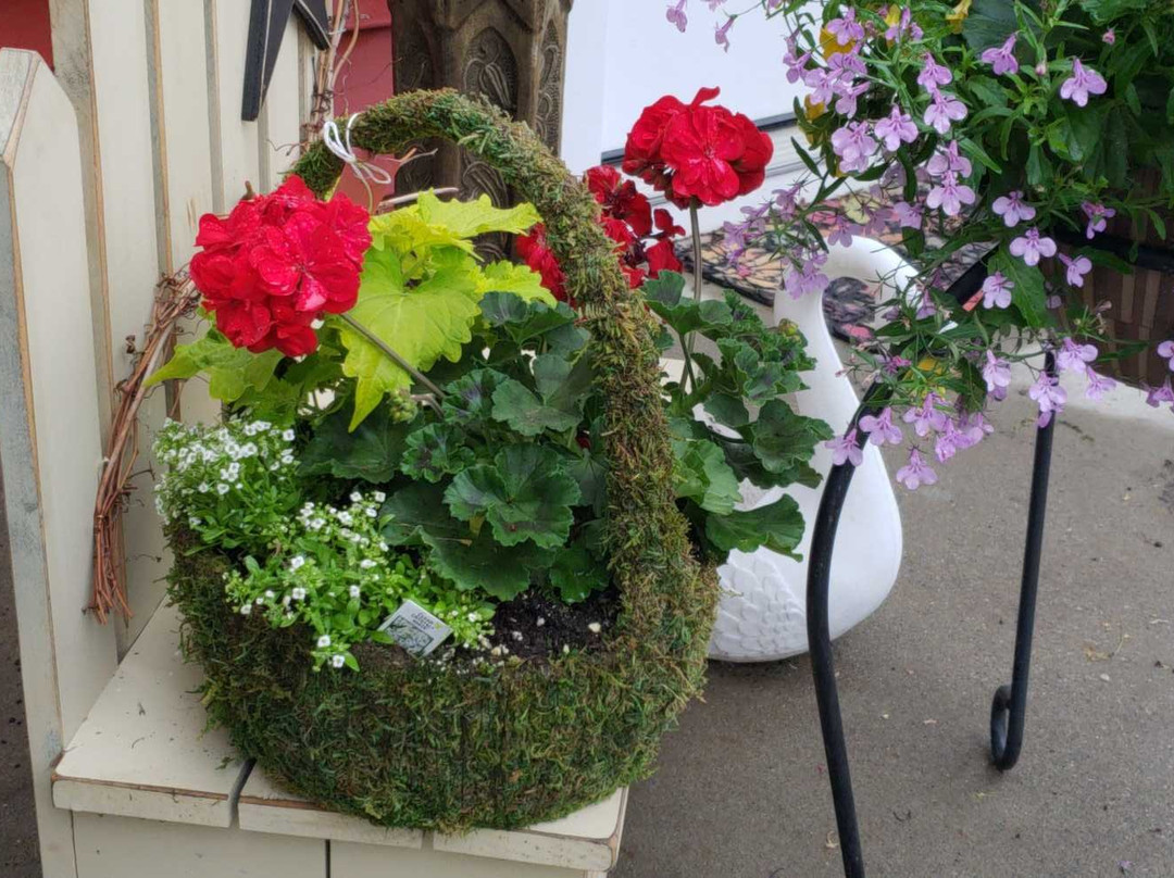 Farmer Joe's Gardens-沃灵福德必去景点