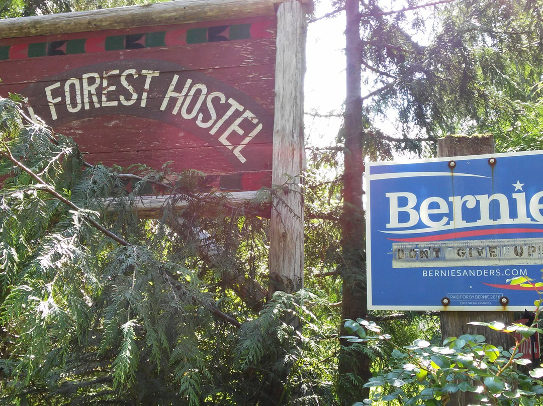 Rain Forest Hostel