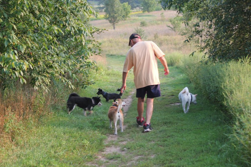 Standing Rocks Dog Park景点图片