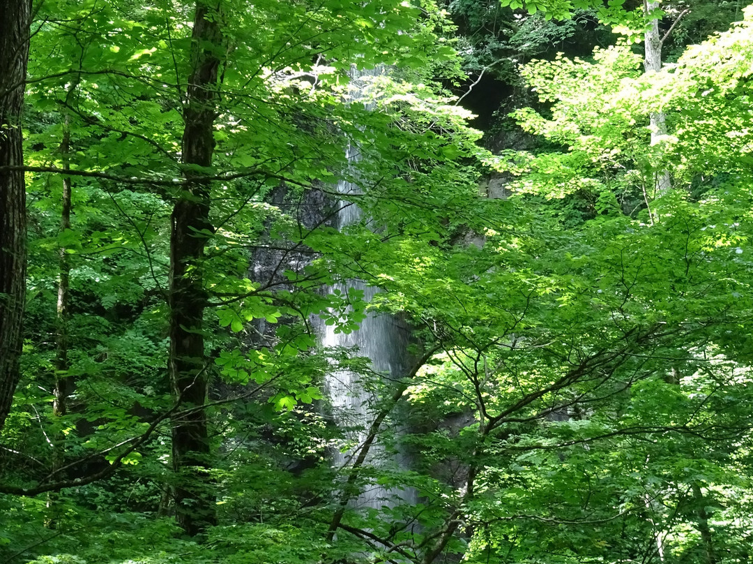 Shiraito Falls-十和田市必去景点