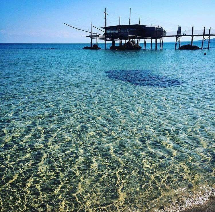 Taverna del Gusto主图