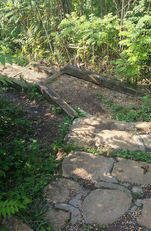 Cohutta Overlook-Ellijay必去景点