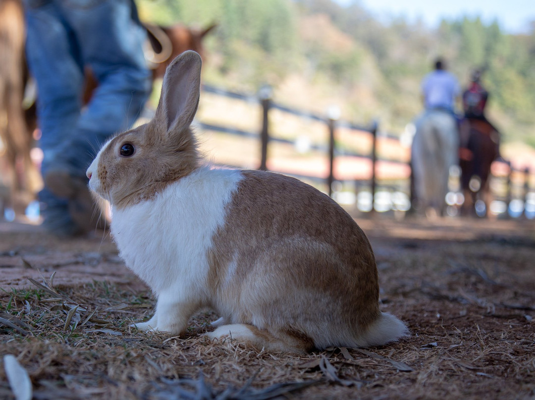 Guarany Eco Resort主图