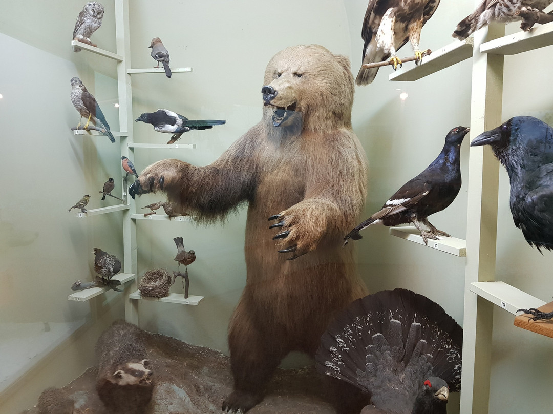 Local Lore Museum-Kungur必去景点