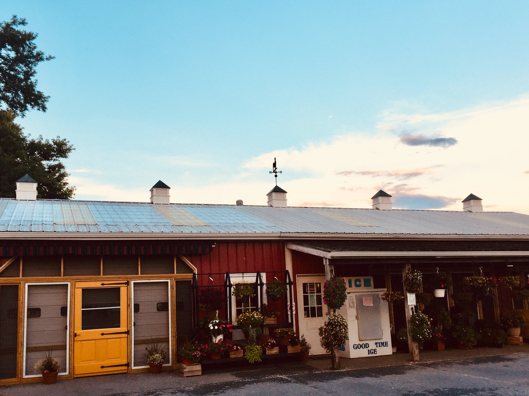 Paulus Farm Market-梅卡尼克斯堡必去景点