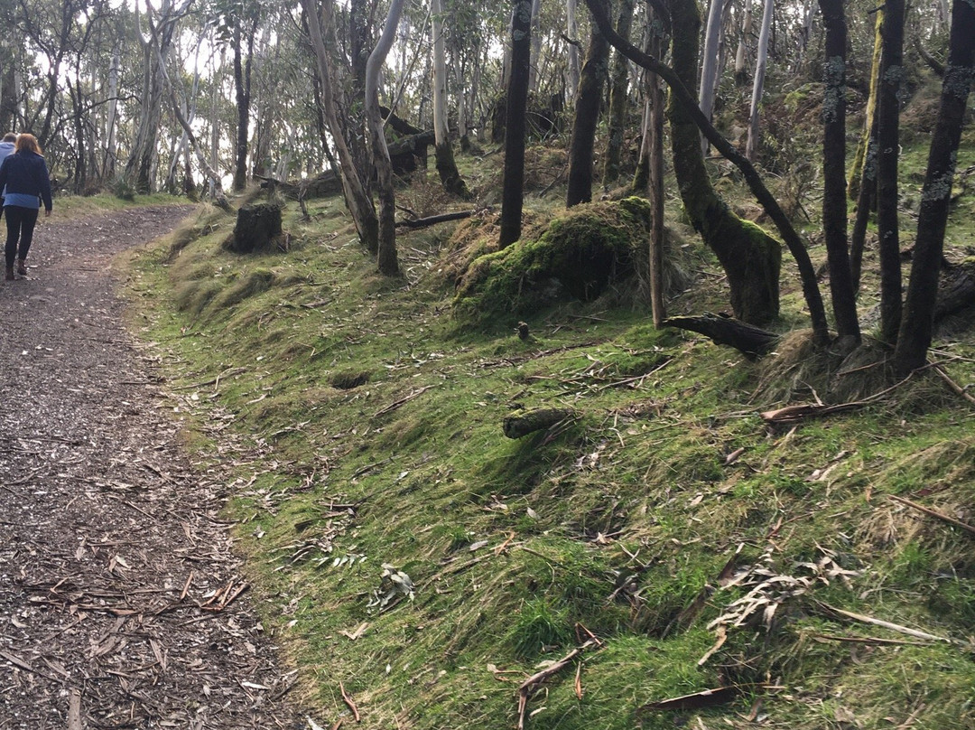 Camel's Hump-马其顿山必去景点