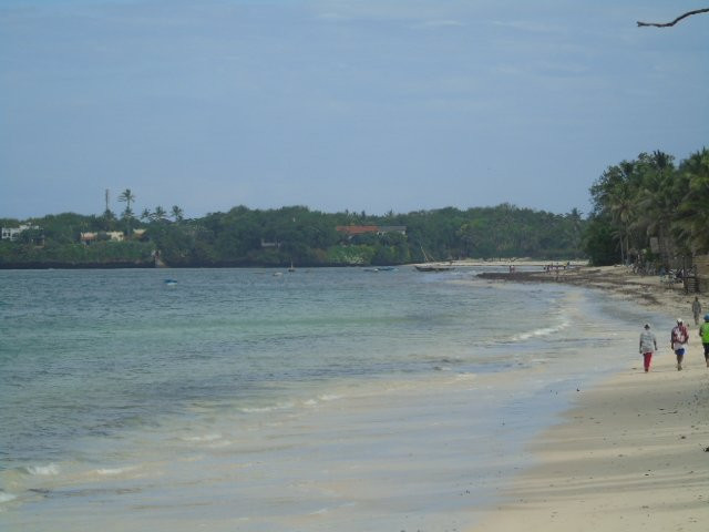 Driftwood Beach Club主图