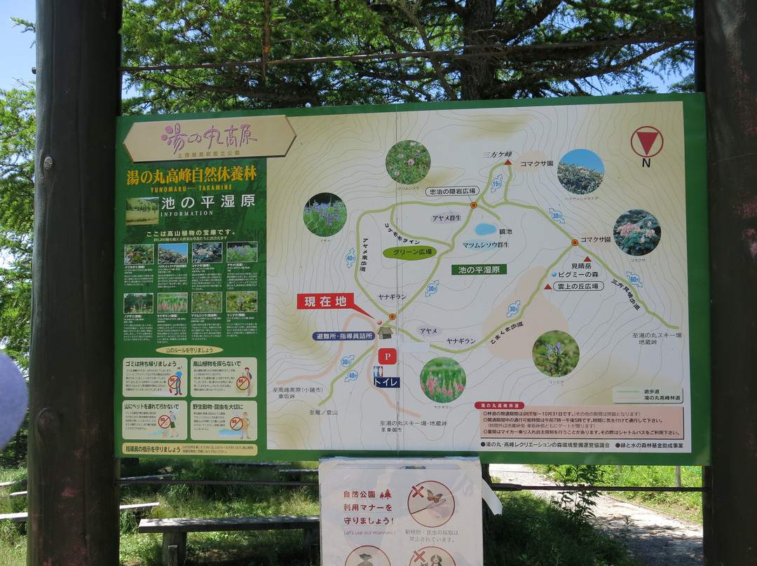 Ike no Taira Shitsugen-东御市必去景点