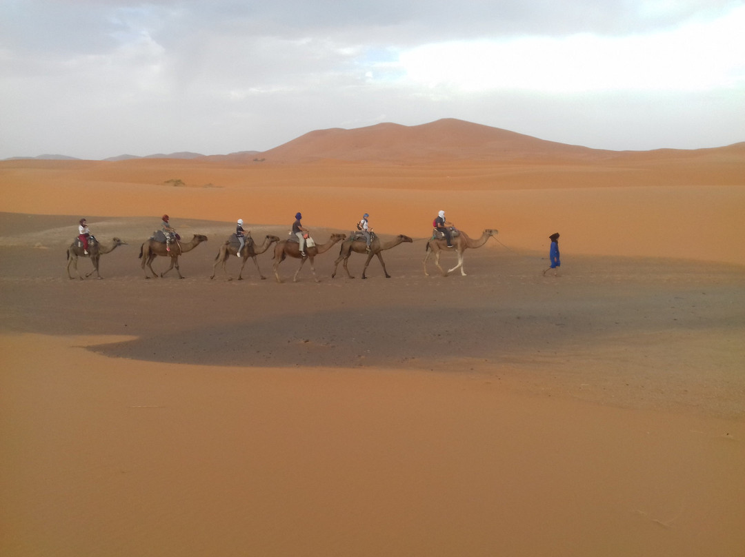 Morocco Enjoy Tours景点图片