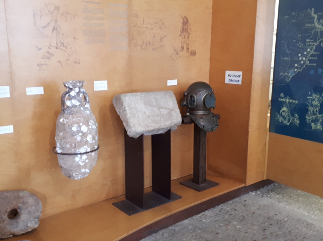 Museo Del Mar景点图片