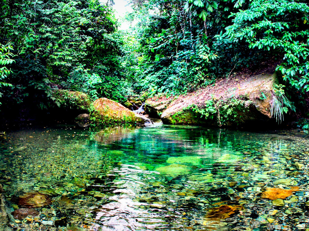 Catarata De Ishipashiari景点图片