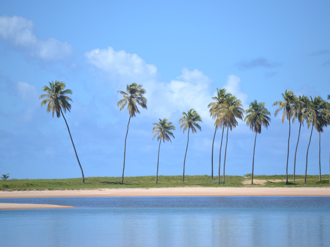 MM Brasil Private Tours-Camacari必去景点