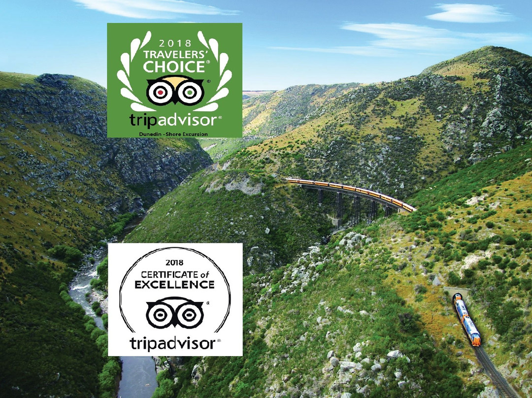 Leisure Tours-基督城必去景点