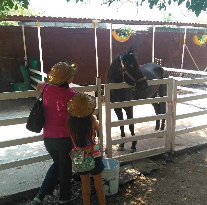 La Granja De Los Abuelos-Santiago必去景点