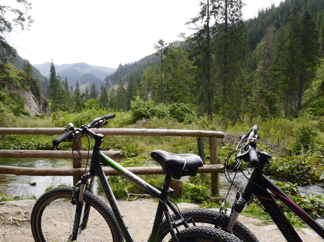 U Holka Bicycle Rental-Koscielisko必去景点