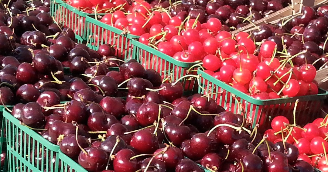 20 Valley Harvest Farms景点图片