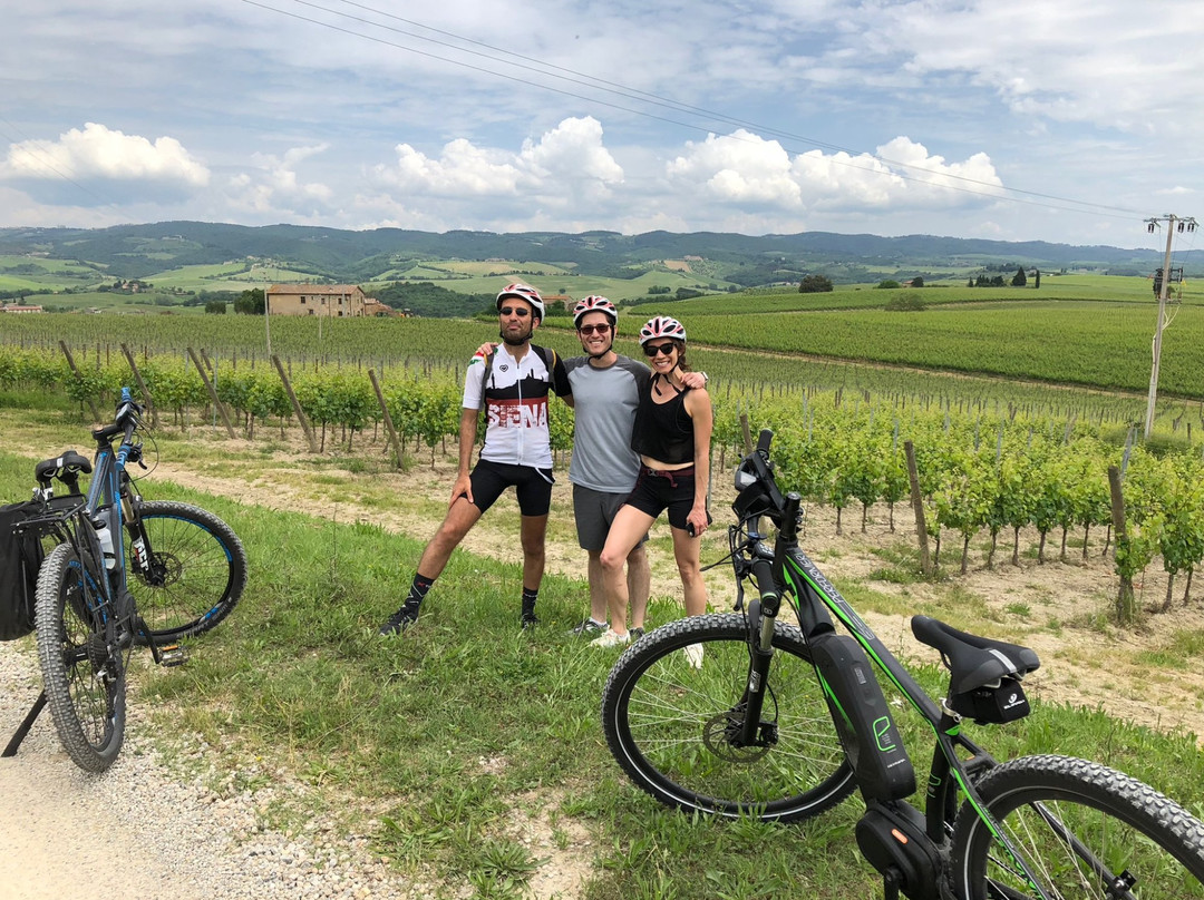 Up and Down the Chianti-锡耶纳必去景点